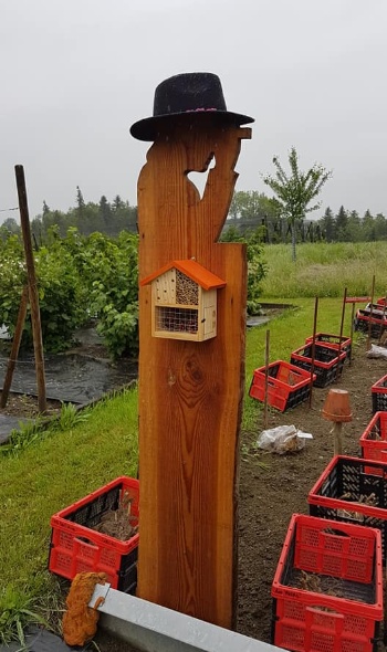 97078955 3551612708199214 1232491335747895296 n