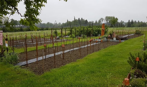 97992960 3551612864865865 3708126110253318144 n 97992960 3551612864865865 3708126110253318144 n