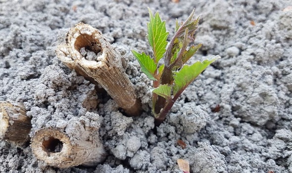 97993398 3572524086108076 3762567788552519680 o 97993398 3572524086108076 3762567788552519680 o