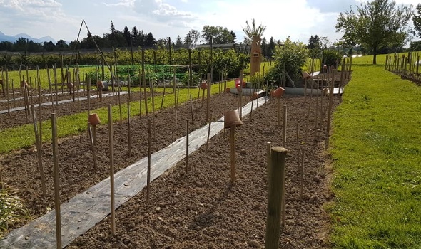 101398134 3592629797430838 6991080381239787520 n