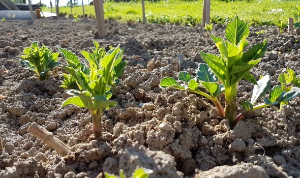 101673954 3622111117816039 4154731159065783010 o 101673954 3622111117816039 4154731159065783010 o