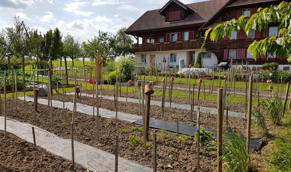 101733553 3592629644097520 8930813918511628288 n 101733553 3592629644097520 8930813918511628288 n