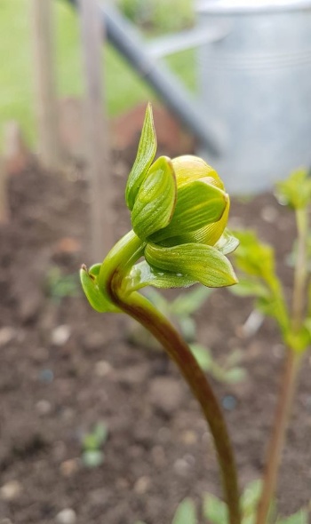 101794356 3624356560924828 54411573727225920 o 101794356 3624356560924828 54411573727225920 o