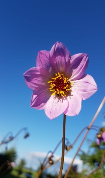 106023060 3690802174280266 7778886456957927610 o 106023060 3690802174280266 7778886456957927610 o