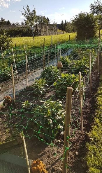 106106231 3690797030947447 6088351139509012239 o 106106231 3690797030947447 6088351139509012239 o