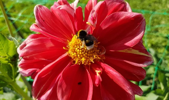 106218976 3706790456014771 2801380573793707441 n