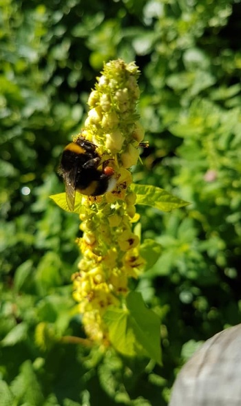 106967880 3706790329348117 8626147449530685265 n 106967880 3706790329348117 8626147449530685265 n