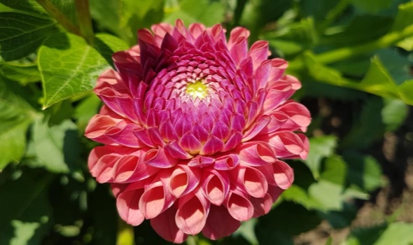 108050499 3734442629916220 6638513423232234235 n