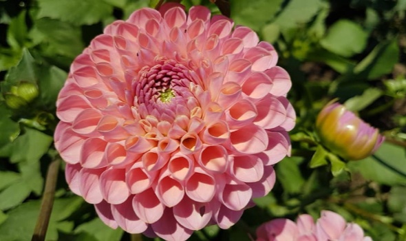 108541825 3734442299916253 6930867260552183551 n