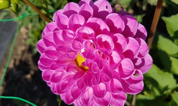 109164865 3734442489916234 3213505911862386371 n