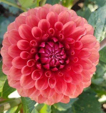 109704067 3734442403249576 4116126934984758078 n 109704067 3734442403249576 4116126934984758078 n