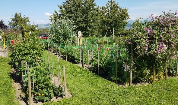 109874079 3757153010978515 8782622571552144991 n