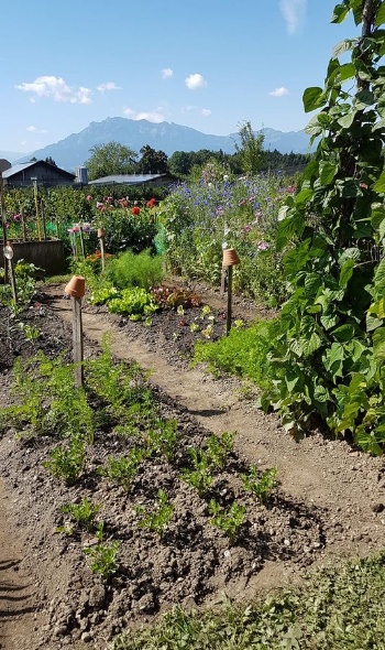 110286161 3756191801074636 3287291382370260113 o 110286161 3756191801074636 3287291382370260113 o