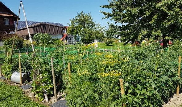 110315092 3757153337645149 6765429490269217940 n 110315092 3757153337645149 6765429490269217940 n