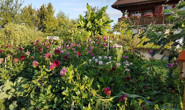 118085445 3846661045361044 7411431617199508943 n 118085445 3846661045361044 7411431617199508943 n