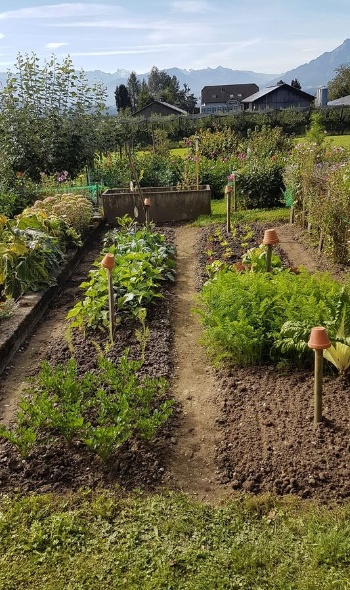 118519517 3868207289873086 6146182579844831150 o 118519517 3868207289873086 6146182579844831150 o