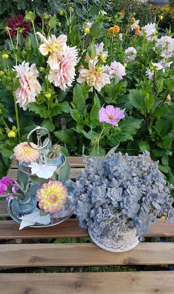 118856140 3904071462953335 3521244398925950095 n