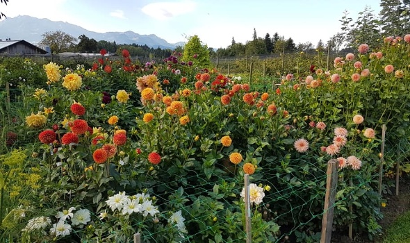 118901291 3904071606286654 4126862905763492849 n 118901291 3904071606286654 4126862905763492849 n