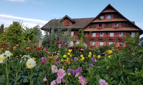 118911735 3904071672953314 1237127470849343401 n