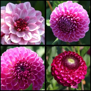 119230724 3926998997327248 7685203005421053060 n