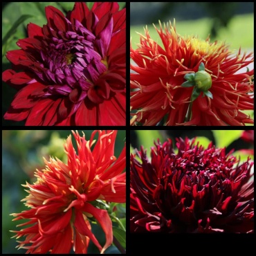 119440575 3926998903993924 4229665235529796210 n 119440575 3926998903993924 4229665235529796210 n