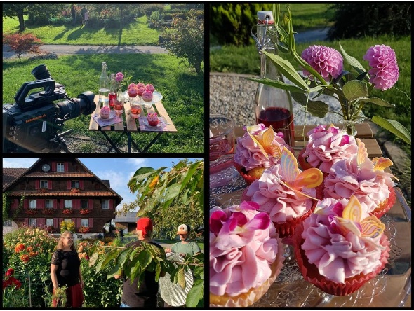 119514149 3941199955907152 2436772474523846749 o 119514149 3941199955907152 2436772474523846749 o