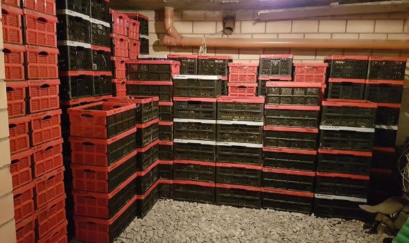 49444763 2521205057906656 519035742475780096 o 49444763 2521205057906656 519035742475780096 o