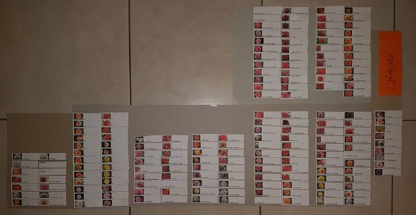 49841029 2532082630152232 4602644704247414784 o 49841029 2532082630152232 4602644704247414784 o