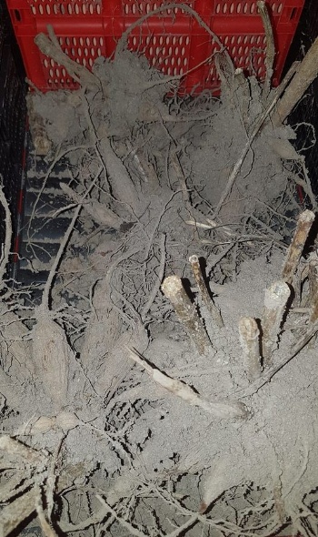 53526711 2622718127755348 7547024220799107072 o 53526711 2622718127755348 7547024220799107072 o