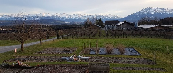 53708740 2611738255520002 5584569984408879104 o 53708740 2611738255520002 5584569984408879104 o