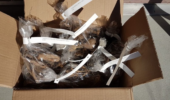 54403595 2638893659471128 7155394392486838272 o 54403595 2638893659471128 7155394392486838272 o