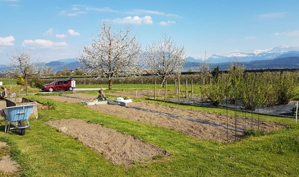 57294159 2685558338137993 2957582314739073024 n