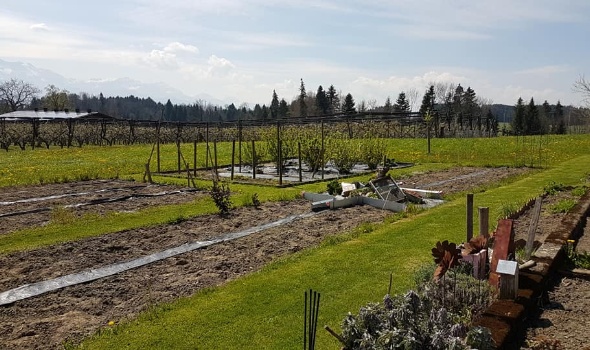 57294217 2685558258138001 8591601322778689536 n