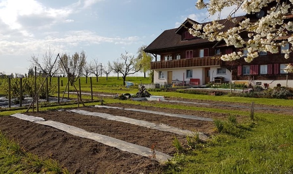 57441797 2685558444804649 1478300169593159680 n 57441797 2685558444804649 1478300169593159680 n