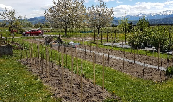 57852455 2695849503775543 4948925669393301504 n 57852455 2695849503775543 4948925669393301504 n