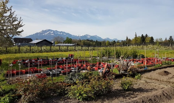 58419574 2695849333775560 576740955969814528 n