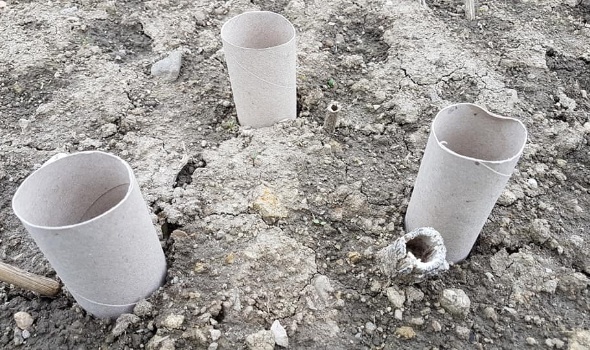 59960631 2729118017115358 8352886628150149120 n