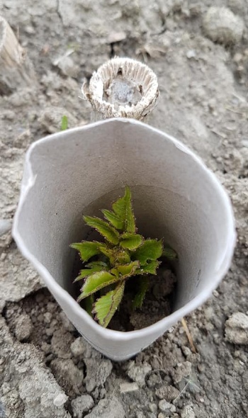 60055895 2729117967115363 3043259593670000640 n 60055895 2729117967115363 3043259593670000640 n