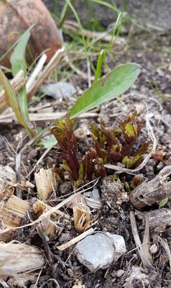 60068104 2729108677116292 7581718210701950976 o 60068104 2729108677116292 7581718210701950976 o