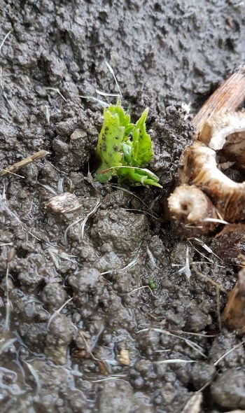 60333853 2720444634649363 5117632315492663296 o 60333853 2720444634649363 5117632315492663296 o