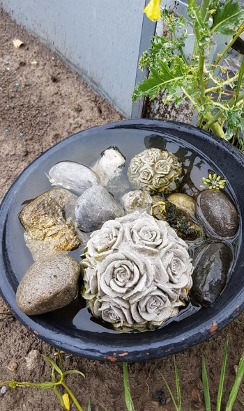 60838073 2741954519165041 8702369813537751040 n