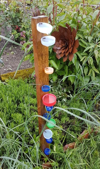 60859689 2741954765831683 8397471592728231936 n