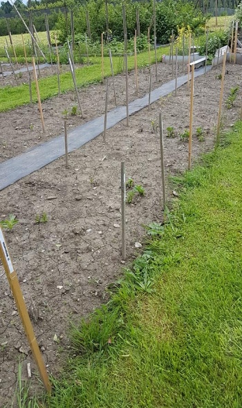 61059900 2753690977991395 6000432529306288128 n