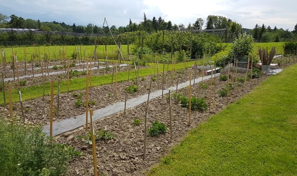 61791024 2769389159754910 2640715609213501440 n 61791024 2769389159754910 2640715609213501440 n