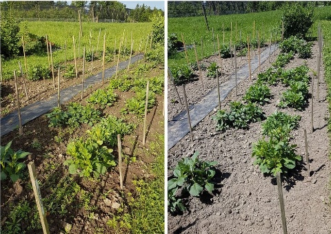 62488626 2788676961159463 5368973041445371904 o 62488626 2788676961159463 5368973041445371904 o