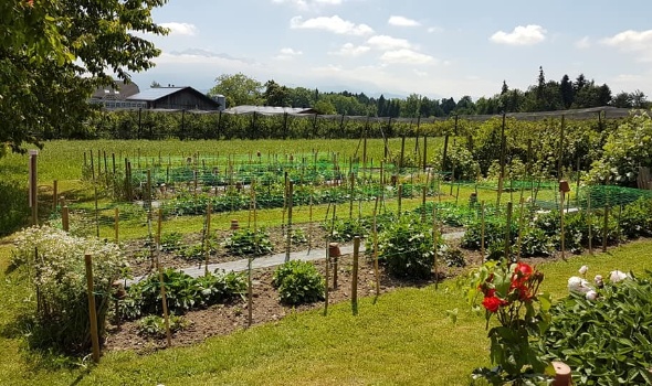 64398474 2796855283674964 3983585615898738688 n