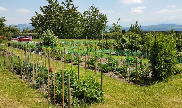 64399401 2796855220341637 1074696131373432832 n