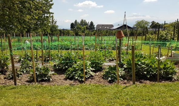 64706930 2796855130341646 6203448190209884160 n 64706930 2796855130341646 6203448190209884160 n