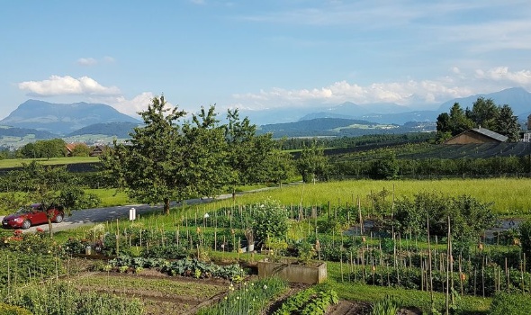 64877191 2809253552435137 7072397031414693888 o 64877191 2809253552435137 7072397031414693888 o