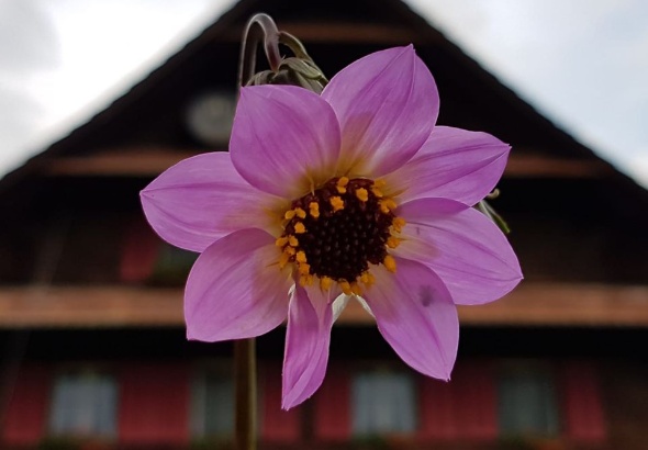 64898751 2801398203220672 1680742271974113280 o 64898751 2801398203220672 1680742271974113280 o